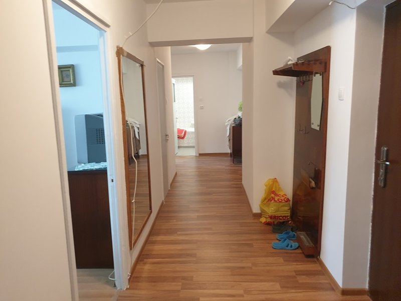 Banu Manta, Titulescu